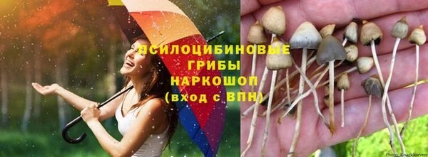 гашишное масло Алексеевка
