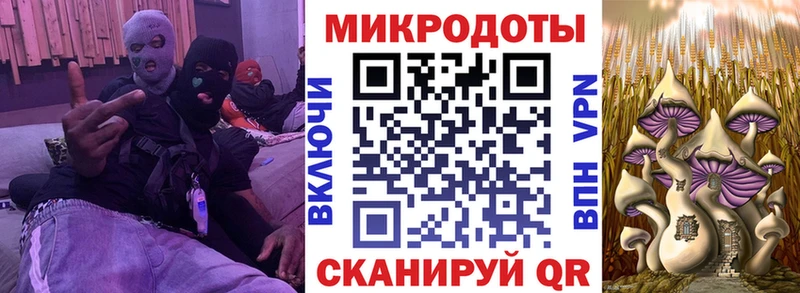 Галлюциногенные грибы Psilocybe  где можно купить   Анапа 